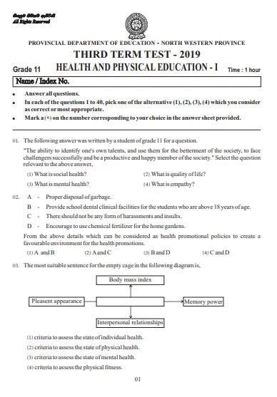 Grade 11 Health 3rd Term Test Paper 2019 English Medium – North Western Province
