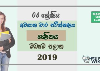 Grade 06 Mathematics 3rd Term Test Paper with Answers 2019 Sinhala Medium - Central Province
