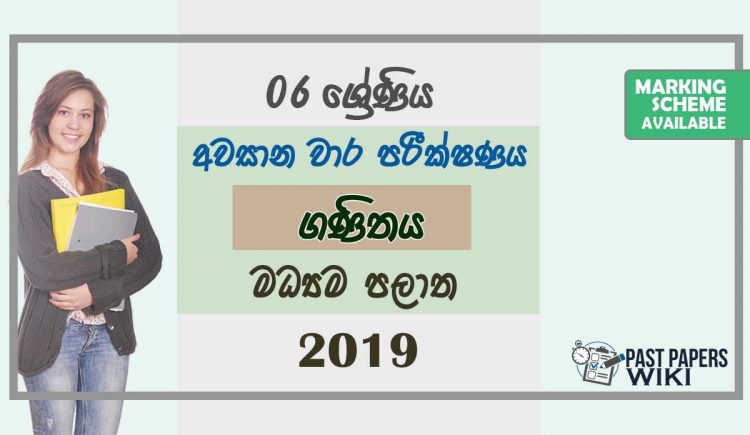 Grade 06 Mathematics 3rd Term Test Paper with Answers 2019 Sinhala Medium - Central Province