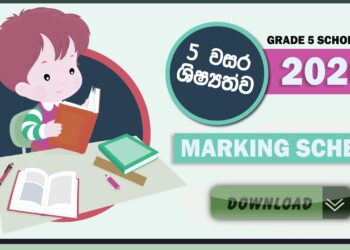 2020 Grade 5 Scholarship Paper Marking Scheme