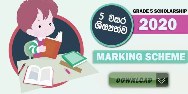 2020 Grade 5 Scholarship Paper Marking Scheme