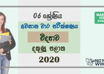 Grade 06 Science 3rd Term Test Paper with Answers 2020 Sinhala Medium - Southern Province