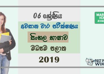 Grade 06 Sinhala 3rd Term Test Paper with Answers 2019 Sinhala Medium - Central Province