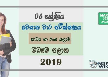 Grade 06 Drama 3rd Term Test Paper with Answers 2019 Sinhala Medium - Central Province