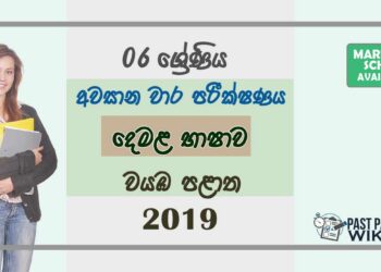 Grade 06 Tamil 3rd Term Test Paper with Answers 2019 Sinhala Medium - North western Province
