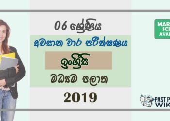 Grade 06 English 3rd Term Test Paper with answers 2019 - Central Province