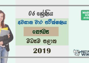 Grade 06 Health And Physical Education 3rd Term Test Paper with Answers 2019 Sinhala Medium - Central Province