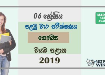 Grade 06 Health And Physical Education 1st Term Test Paper with Answers 2019 Sinhala Medium - North Western Province