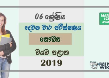 Grade 06 Health And Physical Education 2nd Term Test Paper with Answers 2019 Sinhala Medium - North Western Province