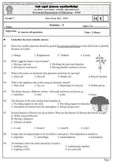 Grade 07 Science 1st Term Test Paper 2019 English Medium – North Western Province