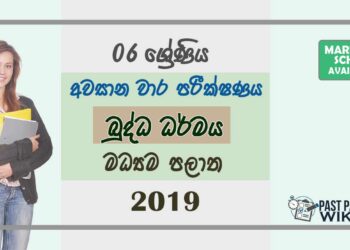 Grade 06 Buddhism 3rd Term Test Paper With Answers 2019 Sinhala Medium - Central Province