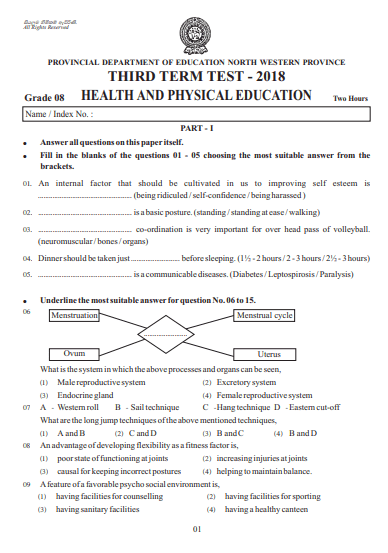 grade 8 3rd term test papers english medium