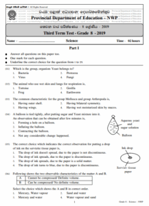 Grade 08 Science 3rd Term Test Paper 2019 English Medium - North