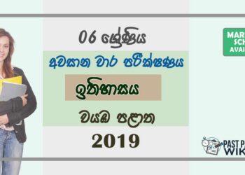 Grade 06 History 3rd Term Test Paper with Answers 2019 Sinhala Medium - North western Province
