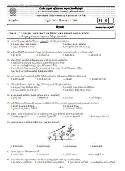 Grade 06 Science 1st Term Test Paper with Answers 2019 Sinhala Medium - North western Province