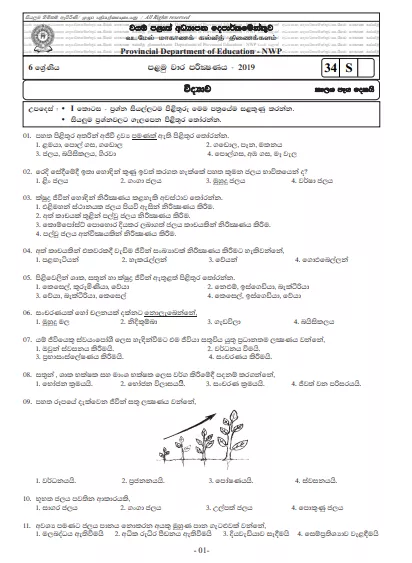 Grade 06 Science 1st Term Test Paper with Answers 2019 Sinhala Medium - North western Province