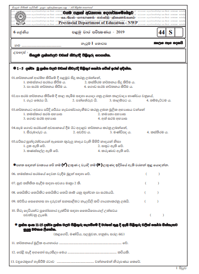 Grade 06 Dancing 1st Term Test Paper with Answers 2019 Sinhala Medium ...