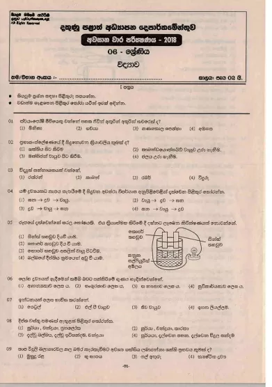 Grade 06 Science 3rd Term Test Paper 2018 Sinhala Medium - Southern Province