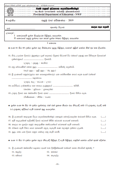 Grade 06 Geography 1st Term Test Paper with Answers 2019 Sinhala Medium ...