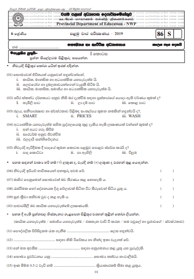 Grade 06 Health And Physical Education 1st Term Test Paper with Answers ...