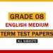Grade 08 English Medium Term Test Papers - Past Papers WiKi