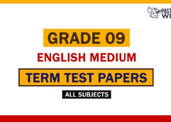Grade 09 English Medium Term Test Papers