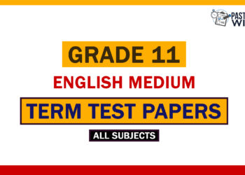 Download Grade 11 English Medium Term Test Papers with answers
