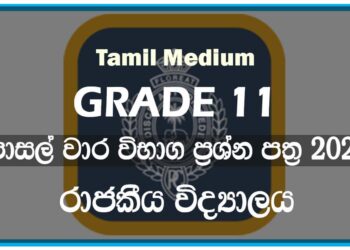 Royal College Term Test Papers 2021 | Tamil Medium