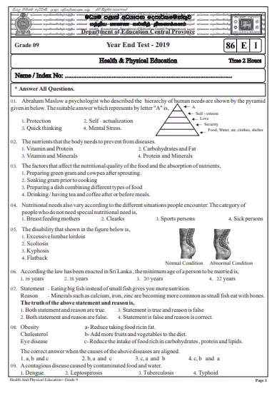Grade 09 Health 3rd Term Test Paper 2019 English Medium – Central Province