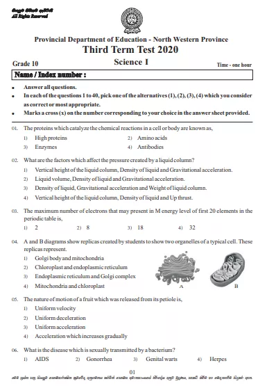 Grade 10 Science 3rd Term Test Paper 2020 English Medium – North Western Province