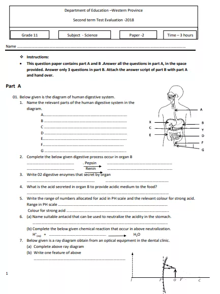 Grade 11 Science 2nd Term Test Paper 2018 English Medium – Western Province