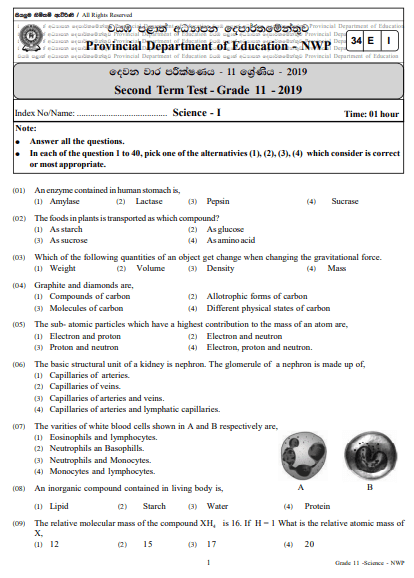 Grade 11 Science 2nd Term Test Paper 2019 English Medium – North Western Province