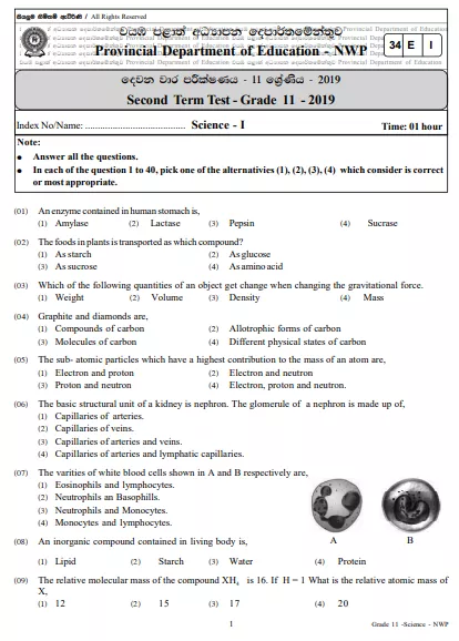 Grade 11 Science 2nd Term Test Paper 2019 English Medium – North Western Province