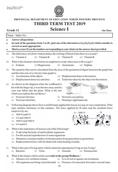 Grade 11 Science 3rd Term Test Paper 2019 English Medium – North Western Province