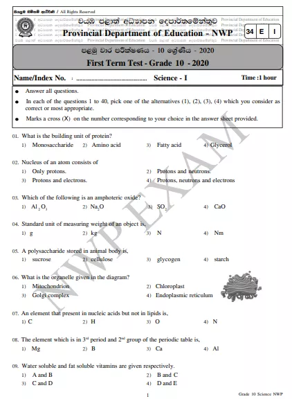 Grade 10 Science 1st Term Test Paper 2020 English Medium – North Western Province