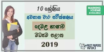 Grade 10 Tamil 3rd Term Test Paper with Answers 2019 - Central Province