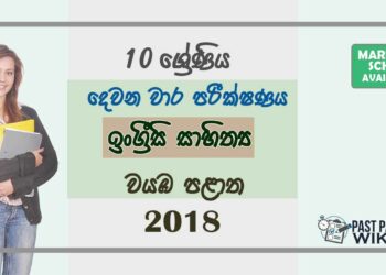 Grade 10 English Literature 2nd Term Test Paper with Answers 2018 - North western Province