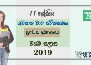 Grade 11 Civic Education 3rd Term Test Paper with Answers 2019 Sinhala Medium - North western Province