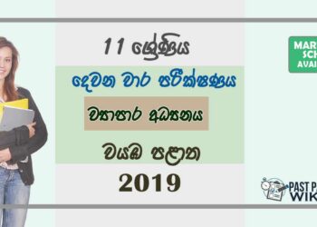 Grade 11 Business And Accounting Studies 2nd Term Test Paper with Answers 2019 Sinhala Medium - North western Province