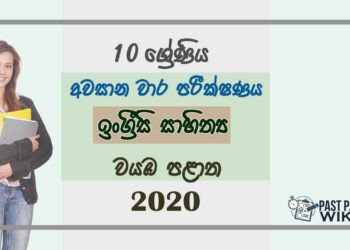 Grade 10 English Literature 3rd Term Test Paper 2020 - North western Province