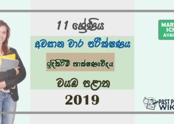 Grade 11 Design and construction Technology 3rd Term Test Paper with Answers 2019 Sinhala Medium - North western Province