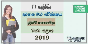 Grade 11 Design and construction Technology 3rd Term Test Paper with Answers 2019 Sinhala Medium - North western Province