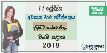 Grade 11 Design and construction Technology 3rd Term Test Paper with Answers 2019 Sinhala Medium - North western Province