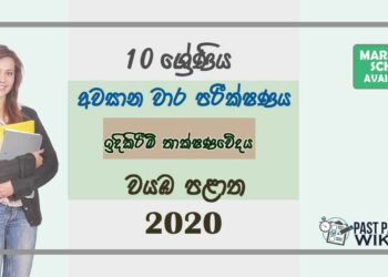 Grade 10 Design and Construction Technology 3rd Term Test Paper with Answers 2020 Sinhala Medium - North western Province