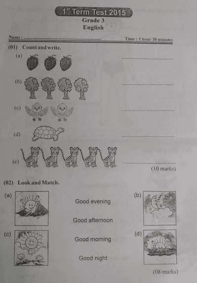 Grade 03 English1St Term Test Model Paper - English Medium