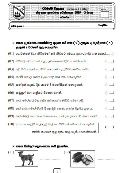 Grade 03 Environment 3rd Term Test Paper 2019 Sinhala Medium – Richmond College