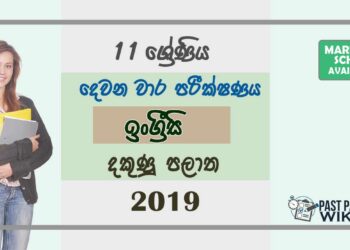 Grade 11 English 2nd Term Test Paper with Answers 2019 - Southern Province