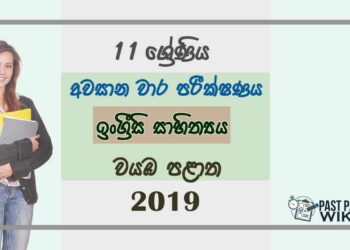 Grade 11 English Literature 3rd Term Test Paper 2019 - North western Province