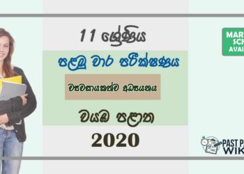 Grade 11 Entrepreneurship Studies 1st Term Test Paper with Answers 2020 Sinhala Medium - North western Province