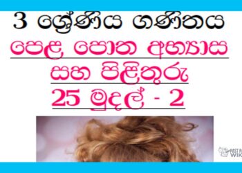 Grade 03 Mathematics Unit 25 | Lesson Book Exercises – Part 02